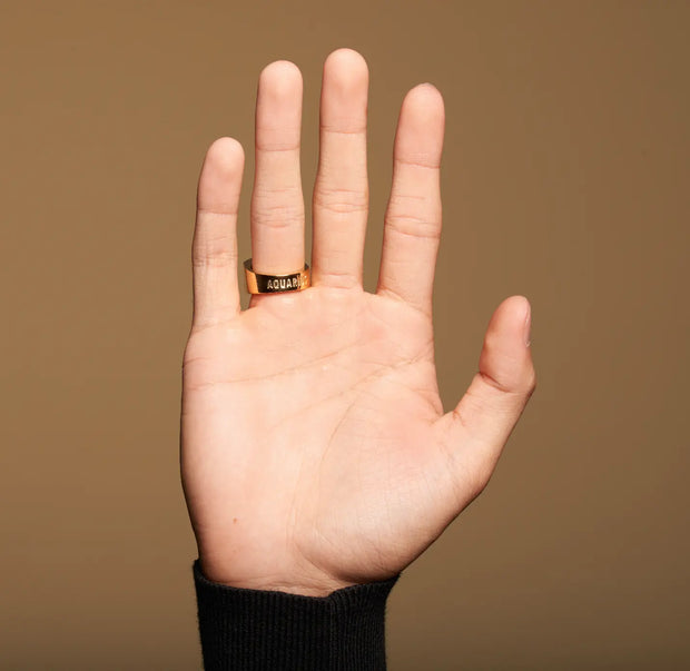 Wassermann Gold&Bold Herrenring - Sternzeichen-Anhänger.de
