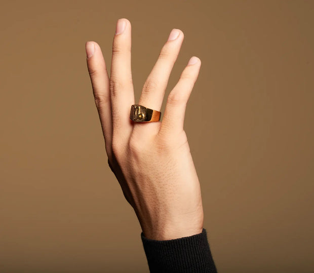 Steinbock Gold&Bold Herrenring - Sternzeichen-Anhänger.de