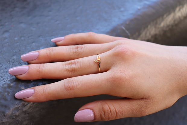 Zodiac Mini-Ringe - Einheitsgröße - (Wählen Sie Ihr Zeichen) - Sternzeichen-Anhänger.de
